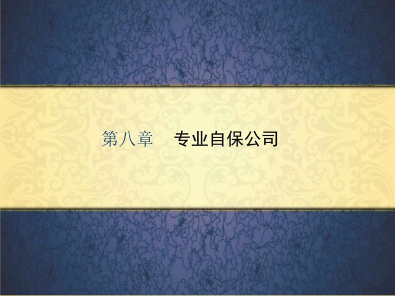 《专业自保公司》PPT课件.ppt_第1页