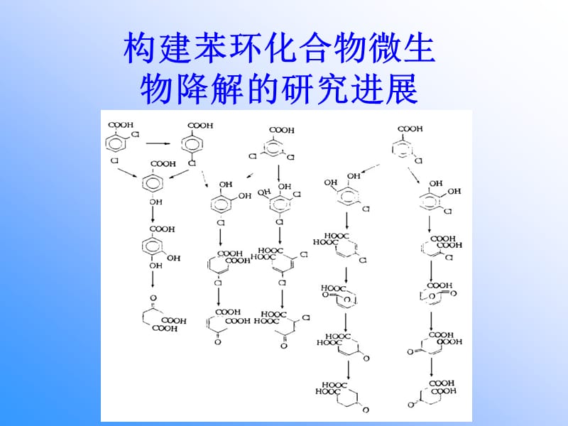 苯环化合物微生物降解.ppt_第1页