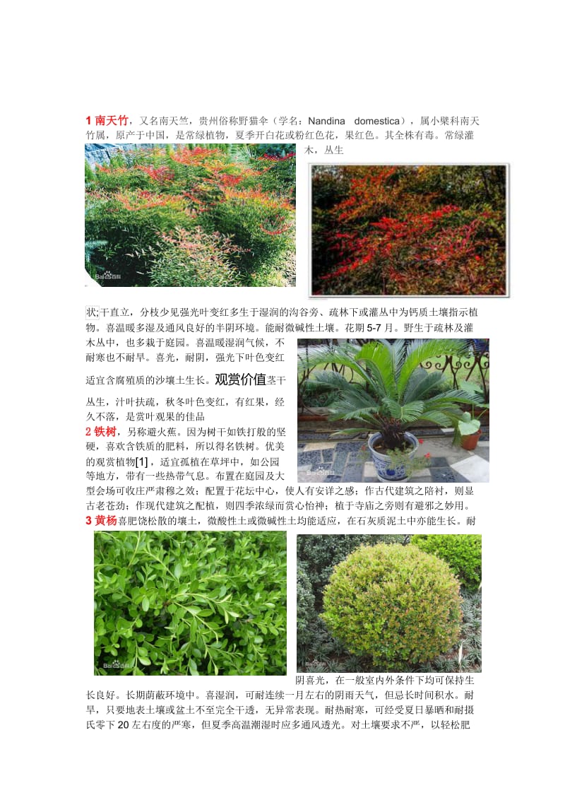 河南本地常见园林植物.doc_第1页