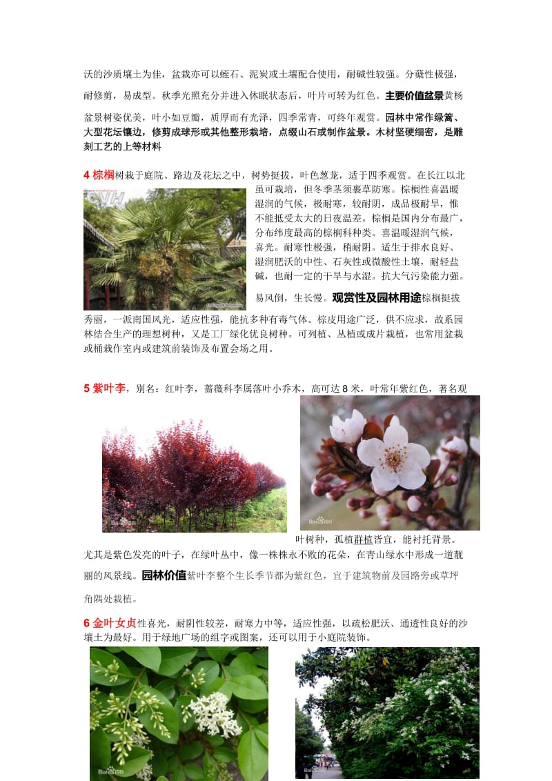 河南本地常见园林植物.doc_第2页