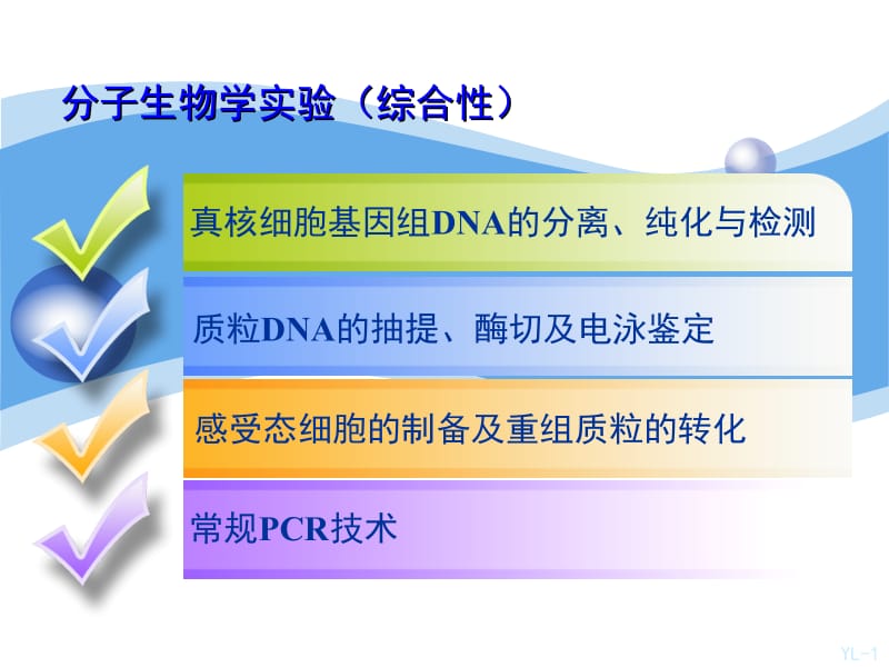 质粒DNA的抽提、纯化与检测.ppt_第1页