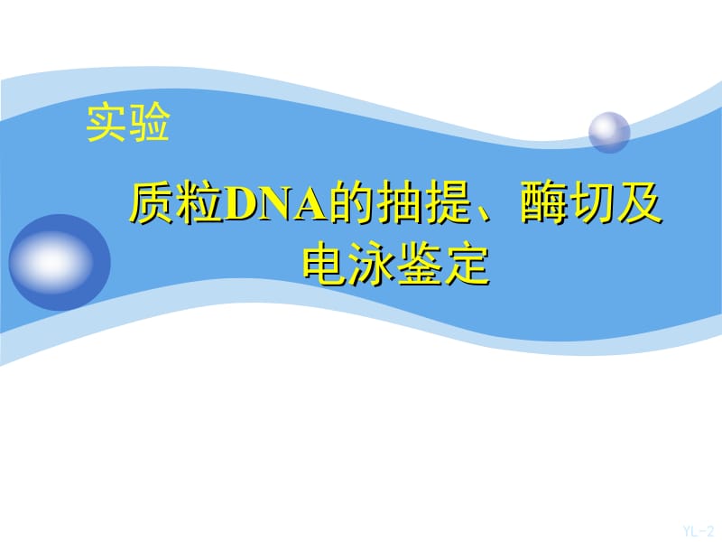 质粒DNA的抽提、纯化与检测.ppt_第2页