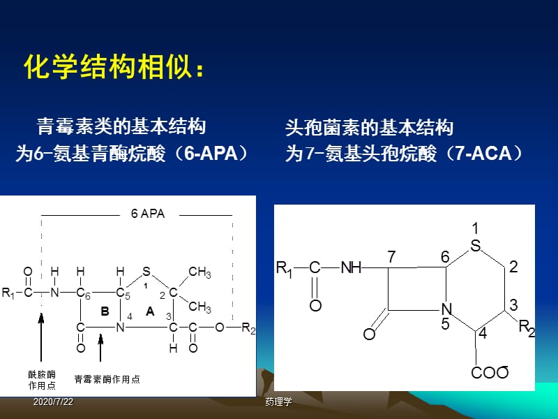 药理学课件第二十八章β-内酰胺类抗生素.ppt_第2页