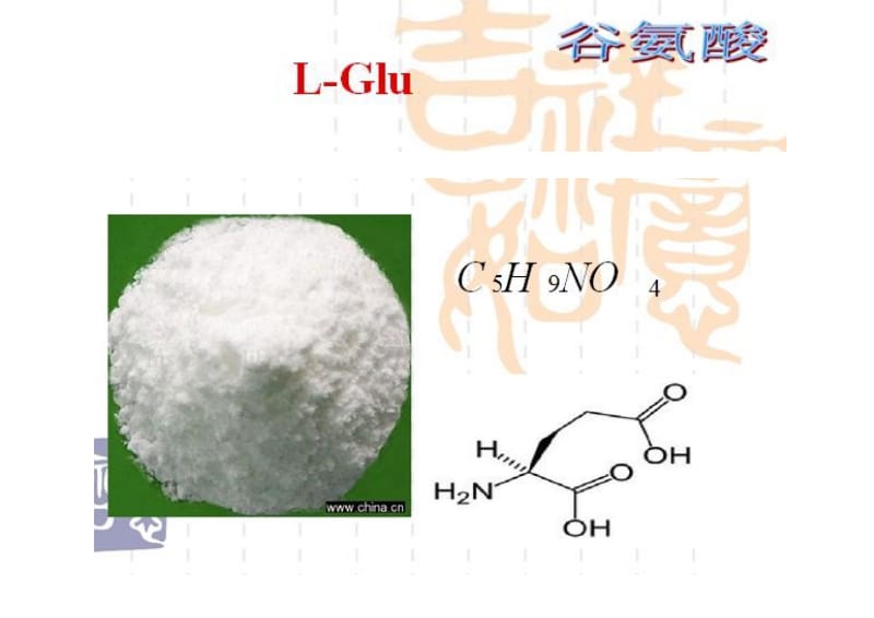 谷氨酸的生产工艺.ppt_第2页