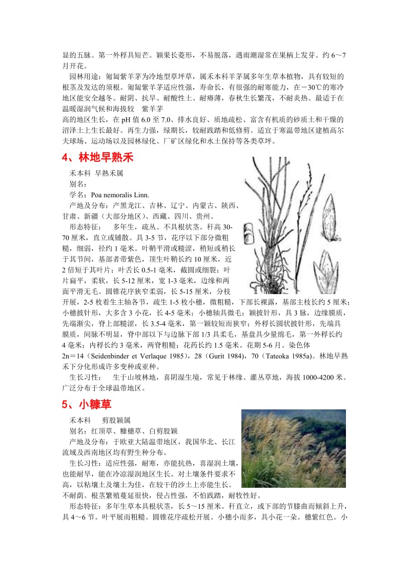 草坪地被植物.doc_第3页