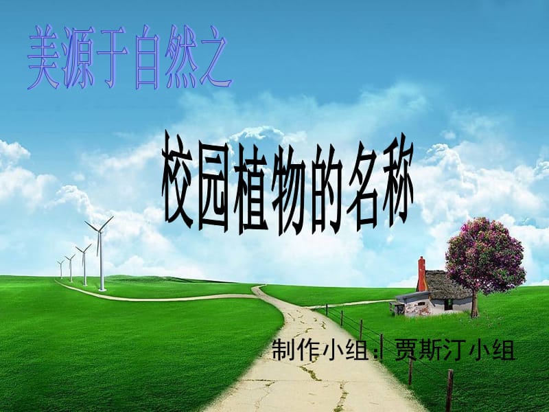 制作小组贾斯汀小组.ppt_第1页