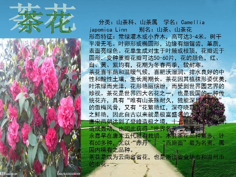 制作小组贾斯汀小组.ppt_第3页