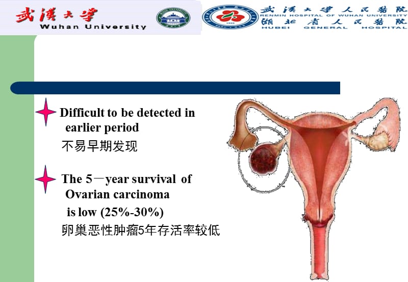 Ovarian carcinom 卵巢肿瘤.ppt_第3页