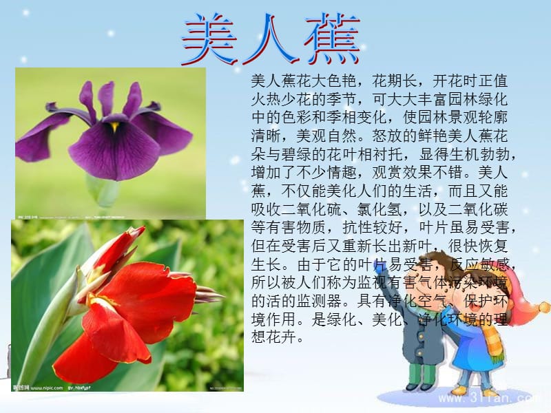 中的色彩和季相变化使园林景观轮廓清晰美观自然怒.ppt_第3页