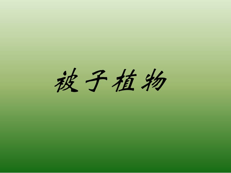 被子植物分类学11.ppt_第1页