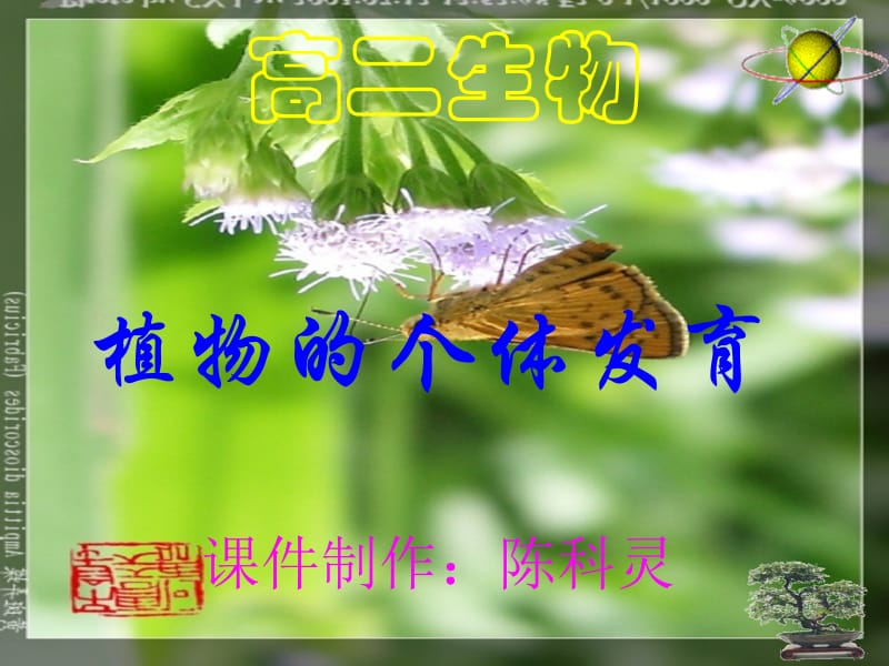 花的结构双受精.ppt_第1页