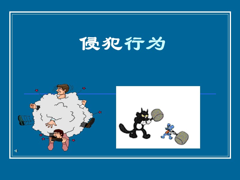 009侵犯行为.ppt_第1页