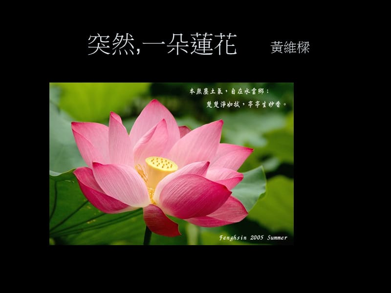 中国文学赏析突然一朵莲花黄维梁.ppt_第1页