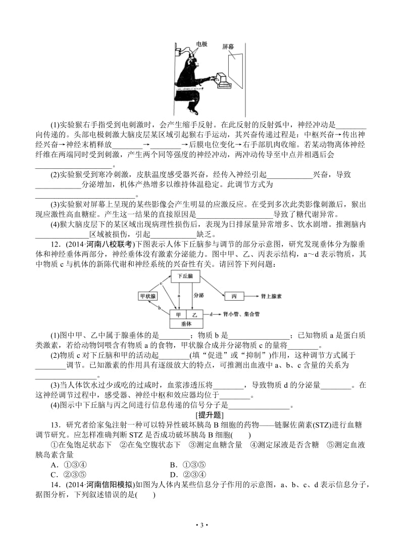 2015届《优化方案》高考生物(苏教版)一轮课后达标检测28 人体和动物的激素调节.doc_第3页