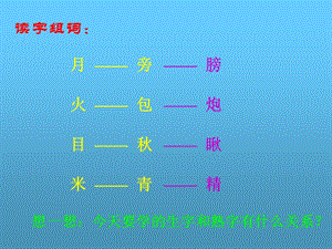 浙教版一年级下册合起来认一认课件.ppt