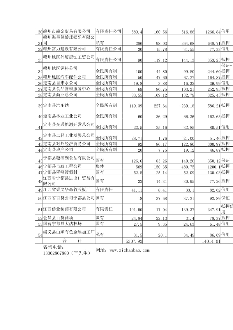 赣州市资产债权投资项目清单.doc_第2页