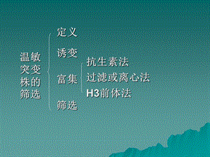 第六节代谢调节.ppt