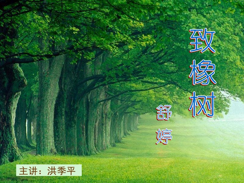 主讲洪季平.ppt_第1页