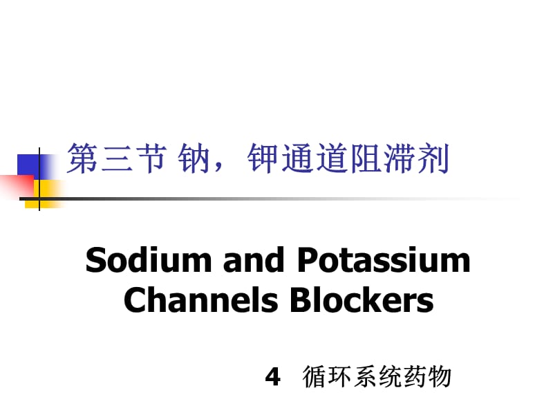 钠,钾通道阻滞剂.ppt_第1页