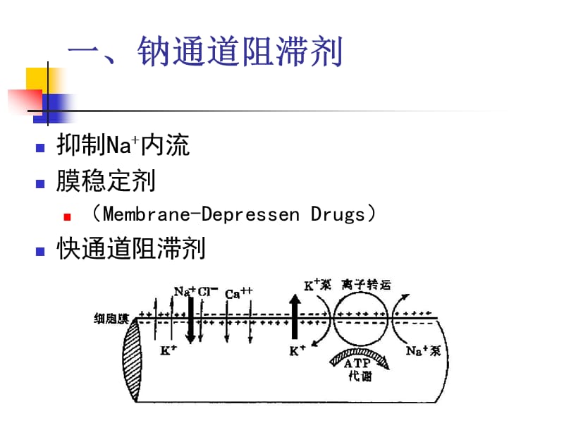 钠,钾通道阻滞剂.ppt_第2页