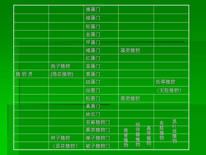 植物界的各大类群.ppt_第2页