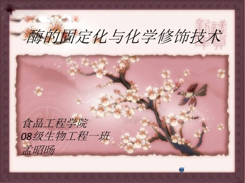 酶的固定化与化学修饰.ppt_第1页