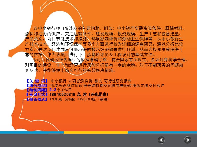 中小银行项目可行研究报告.ppt_第2页