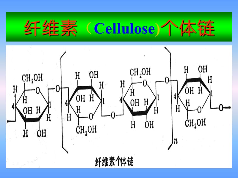 糖与糖生物化学32.ppt_第2页