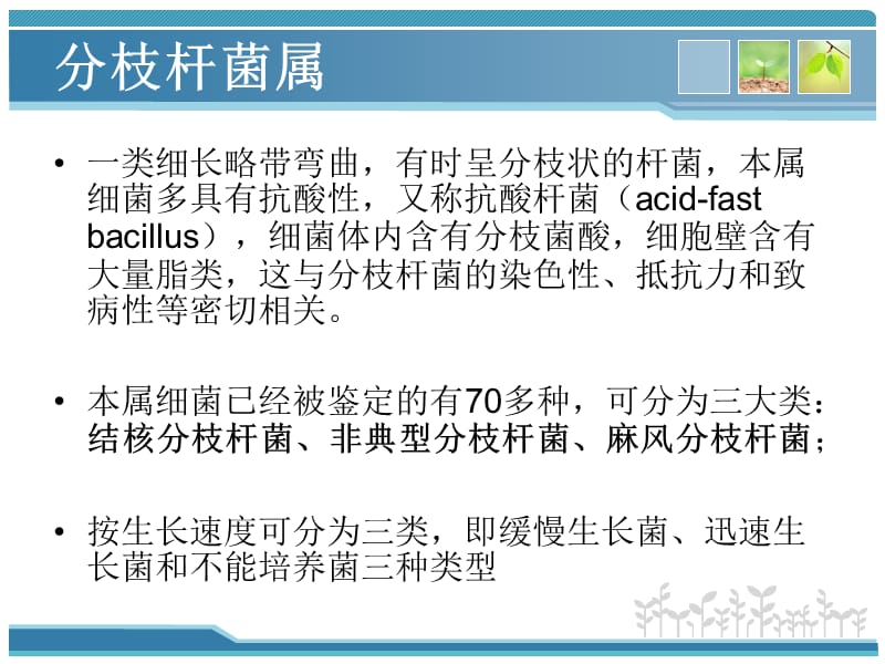 结核分枝杆菌实验室检测方法.ppt_第2页