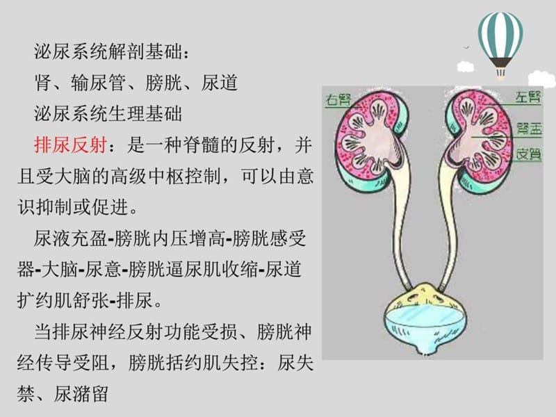 《排泄护理》PPT课件.ppt_第3页