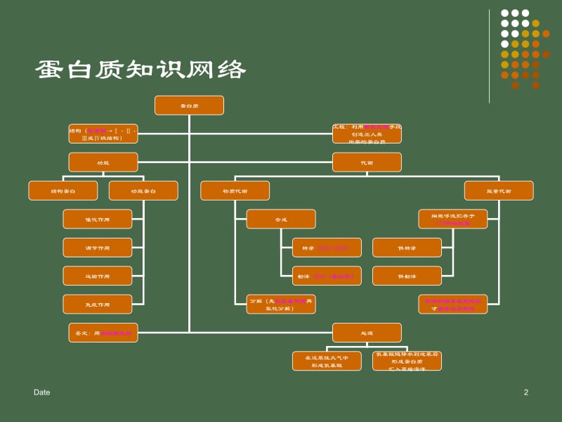 组成细胞的化合物蛋白质.ppt_第2页