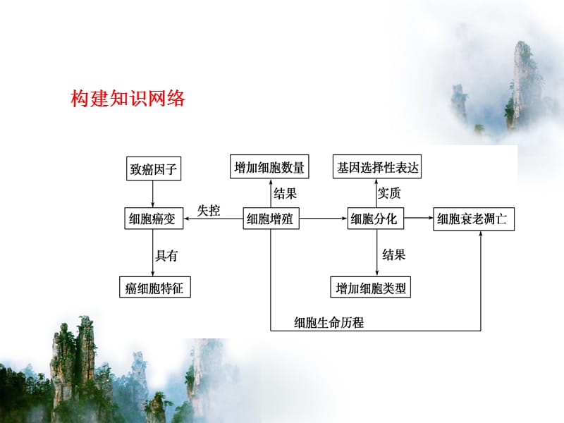 细胞的分化、衰老和凋亡3课时.ppt_第2页