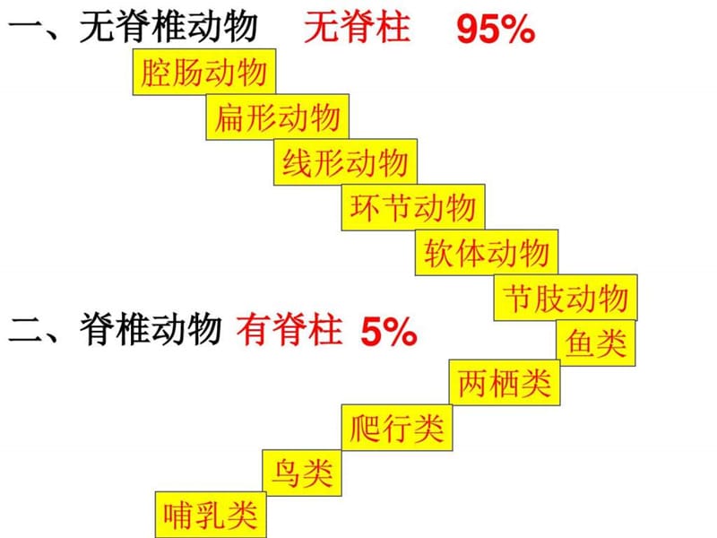 人教版八年级生物第五单元第一章动物主要类群复习(PPT.ppt_第2页