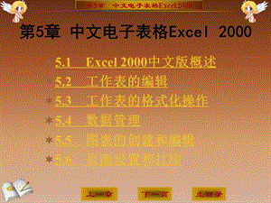 中文电子表格Excel.ppt