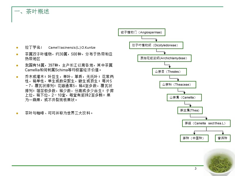 中国茶叶市场研究ppt课件.ppt_第3页