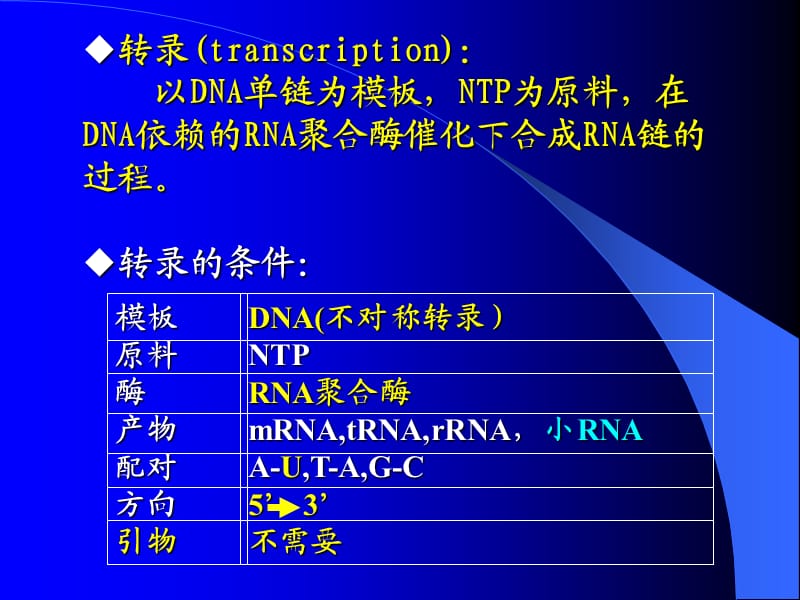 第十三章基因的转录、转录后加工及逆转录.ppt_第2页