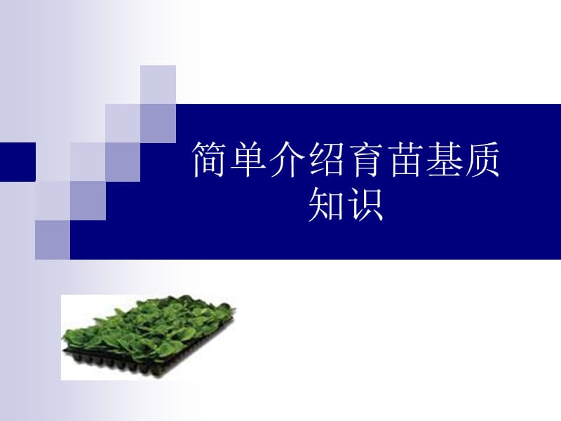 育苗基质功能及介绍.ppt_第1页