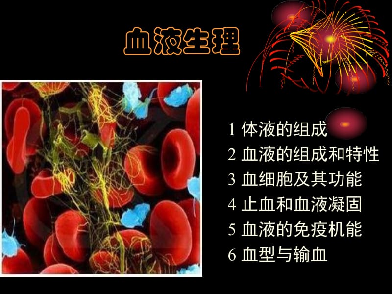 第四讲血液生理.ppt_第1页