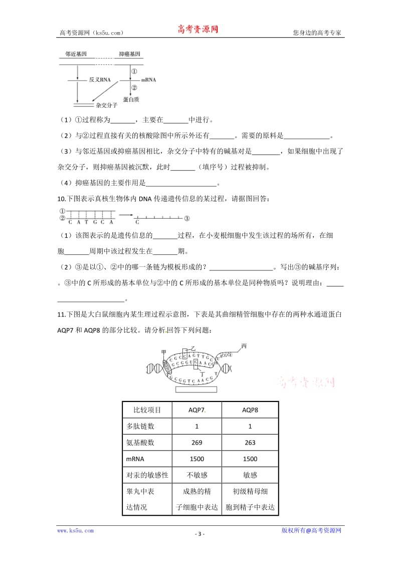 2012高三生物(必修2)一轮复习精练(含解析)：基因指导蛋白质的合成1.doc_第3页