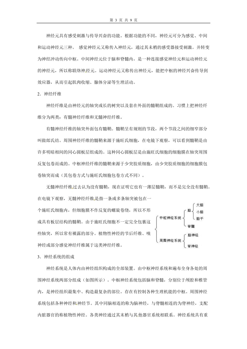 2011届三轮精品知识点、例题、练习题11：通过神经系统的调节.doc_第3页