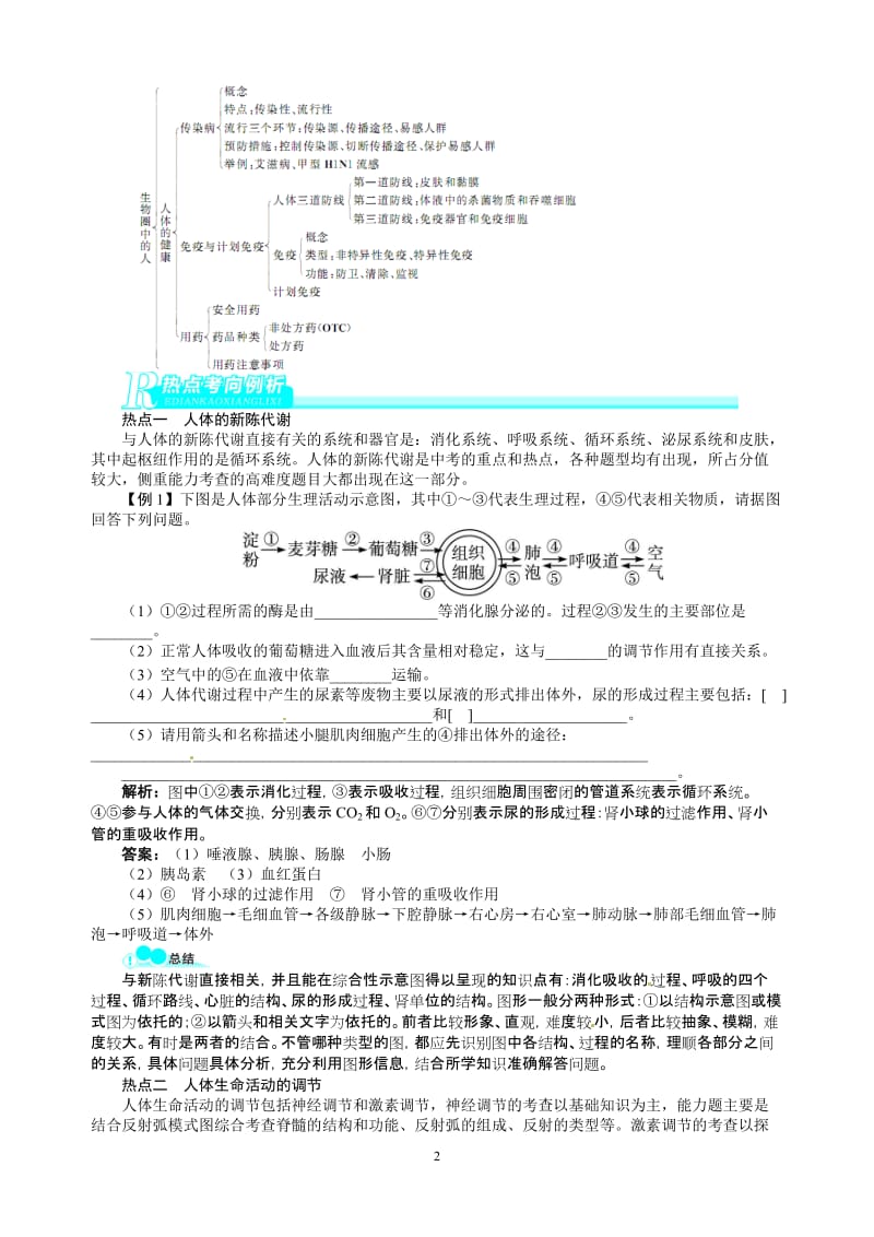 2014备考 中考生物总复习(北师大版 )专题讲练：专题三 生物圈中的人(含规律总结).doc_第2页