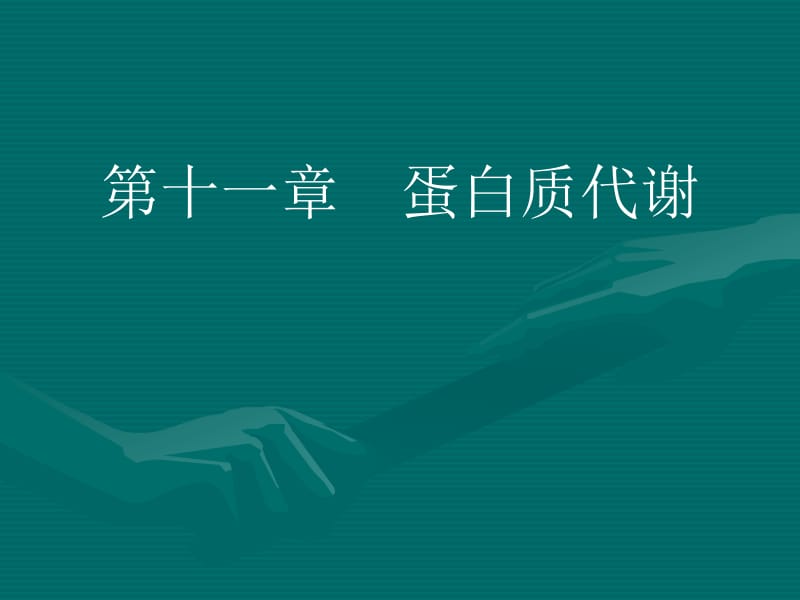 蛋白质代谢郑集.ppt_第1页