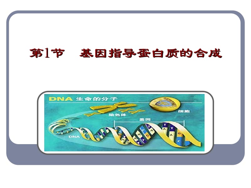 要用的第四章基因的表达.ppt_第2页