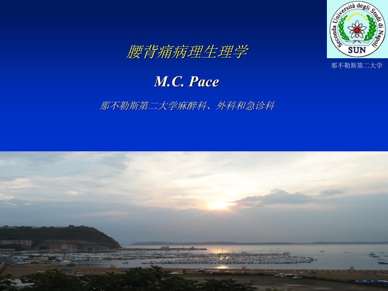 腰背痛病理生理学译文.ppt_第1页