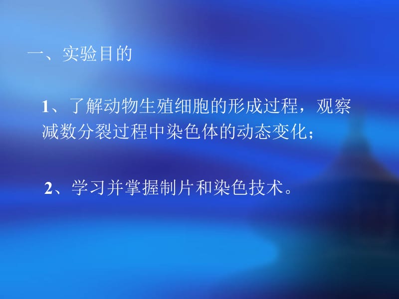 遗传实验：减数分裂.ppt_第2页