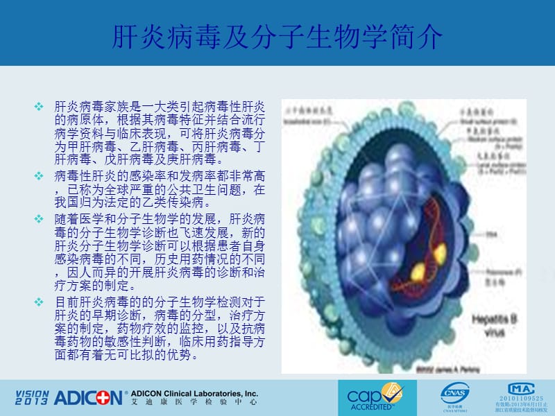 肝炎项目检测.ppt_第2页