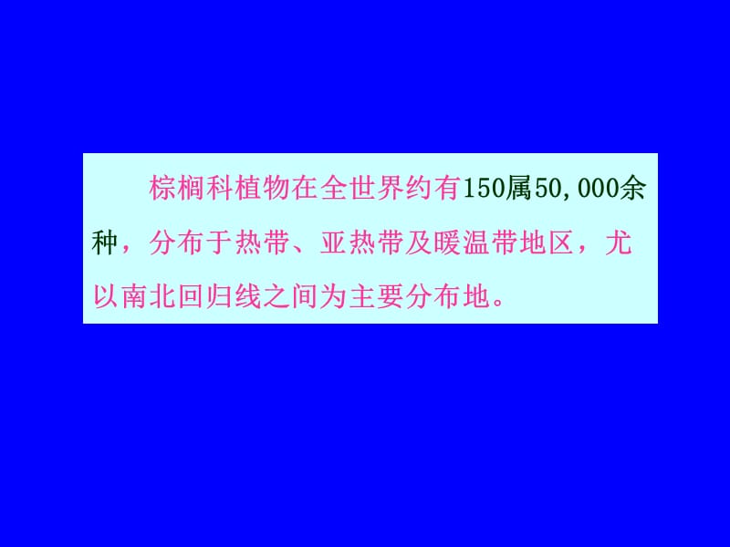 棕榈科植物.ppt_第2页