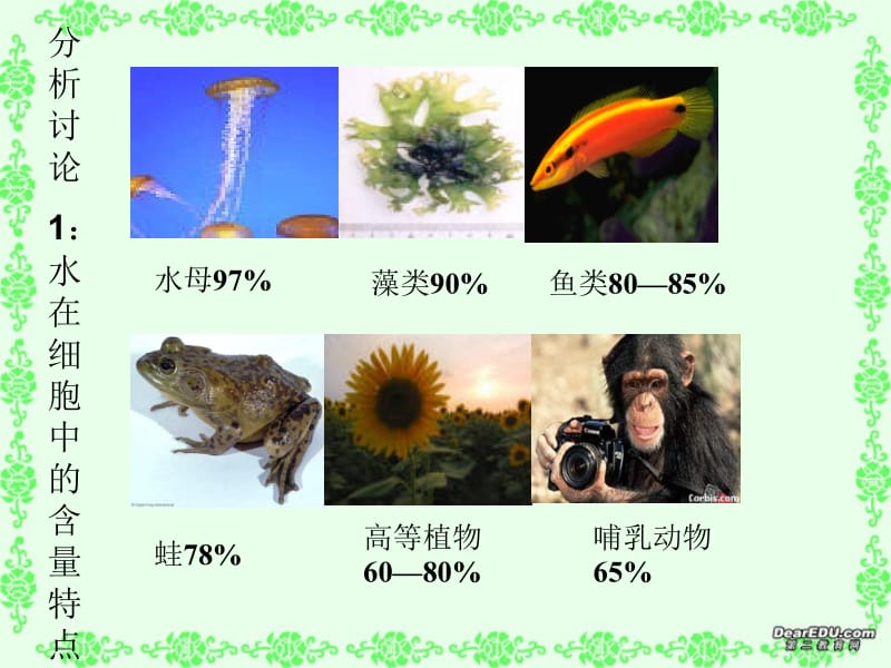 高一生物细胞中的无机物人教版0.ppt_第2页