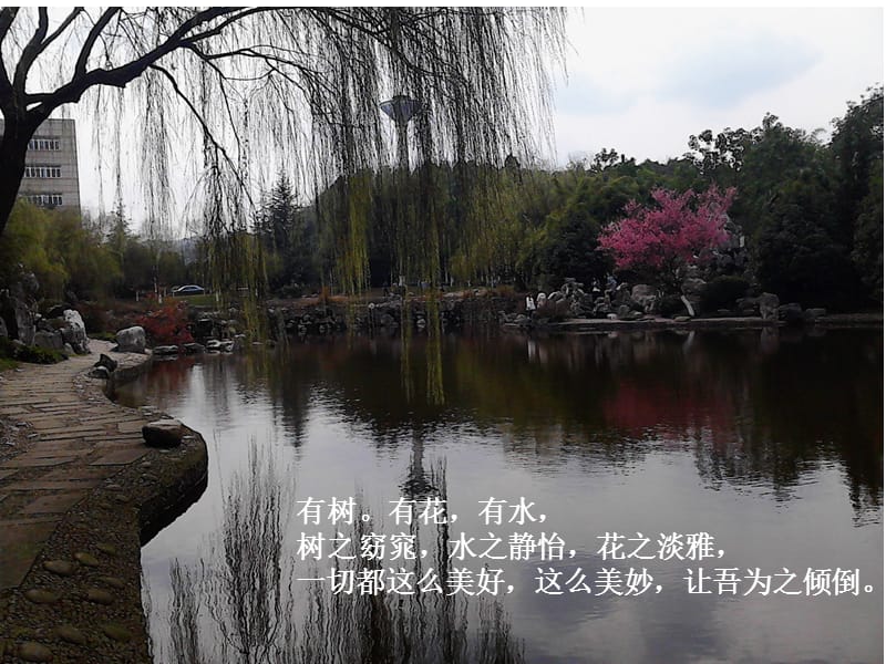 最美师大C组投稿.ppt_第1页