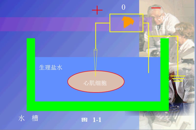 心电图的形成原理.ppt_第3页